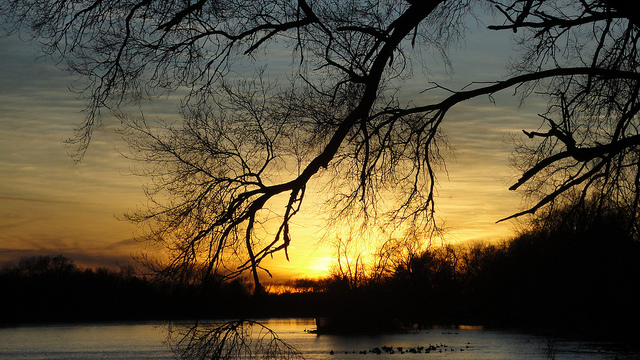 Tranquil River Sunset